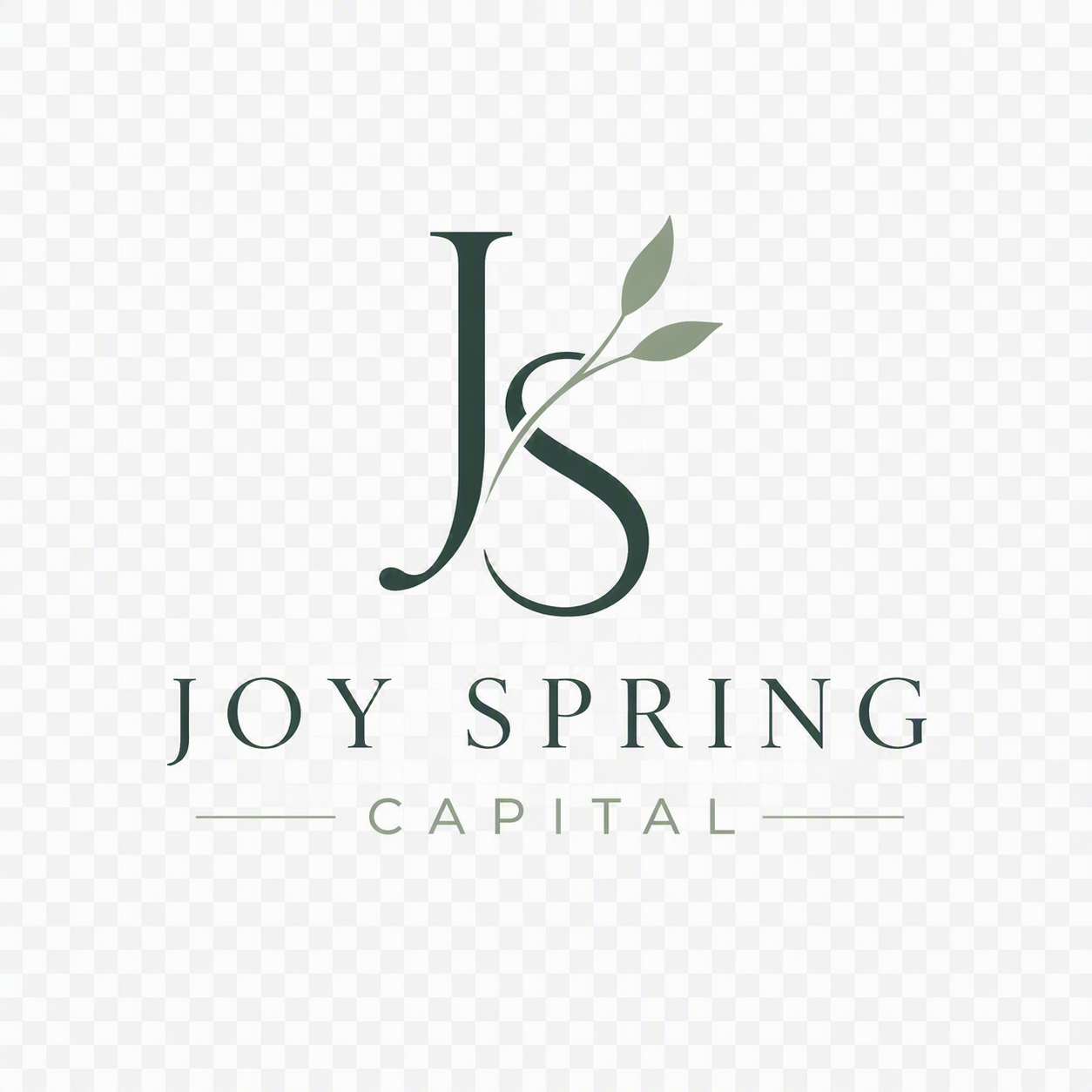 Joy Spring Capital, LLC